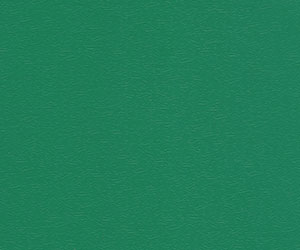 羽毛球專業型柳葉紋