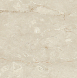 尚高(石紋 白)
尚高(石紋 白)