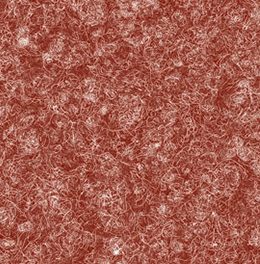 奧薩(紅)
奧薩(紅)